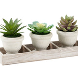 Artificial Succulent, Table Decor (Set of 3) - Green / Beige