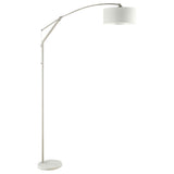 Jamison - Drum Shade Arc Adjustable Floor Lamp - Chrome