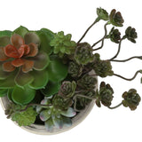 Artificial Succulent, Table Decor (Set of 2) - Green / Beige