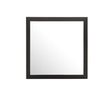 Burlington - Modern Design Transitional Wall Mirror