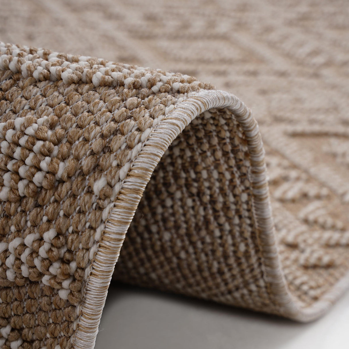 Guros - Traditional Indoor / Outdoor Area Rug