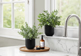 11" Tall, Artificial Plant, Eucalyptus Grass, Indoor, Faux, Fake, Table, Greenery, Potted, Decorative (Set of 2) - Green / Black
