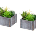 Planters & Vases